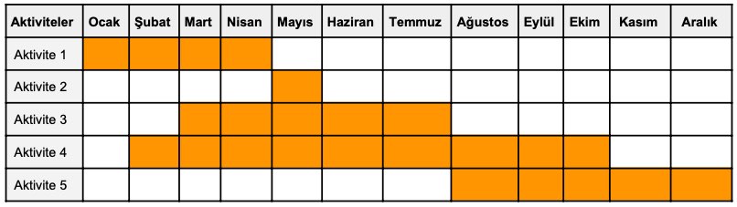 Göç Analiz Çalışması Örnek Gantt Şeması